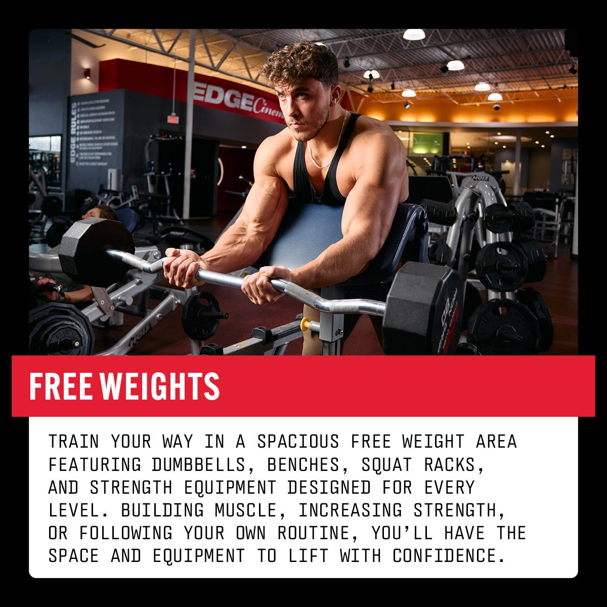 5-26-LP-Johnston-Pop-Up-FreeWeights