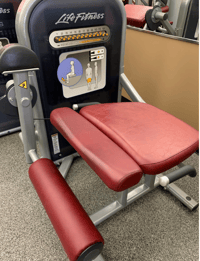 Leg Extension