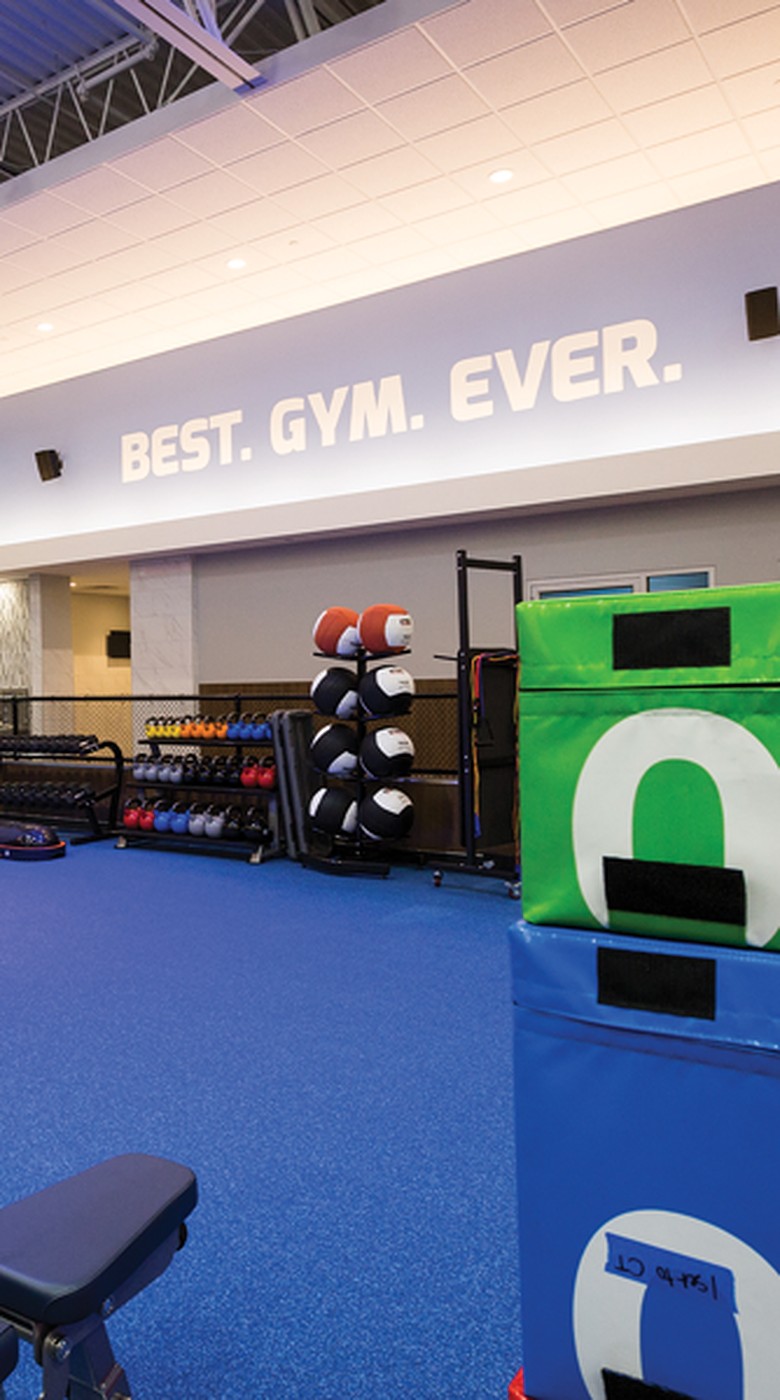 cage-2-780x1400