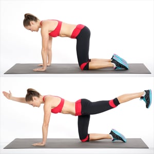 birddog ab workout