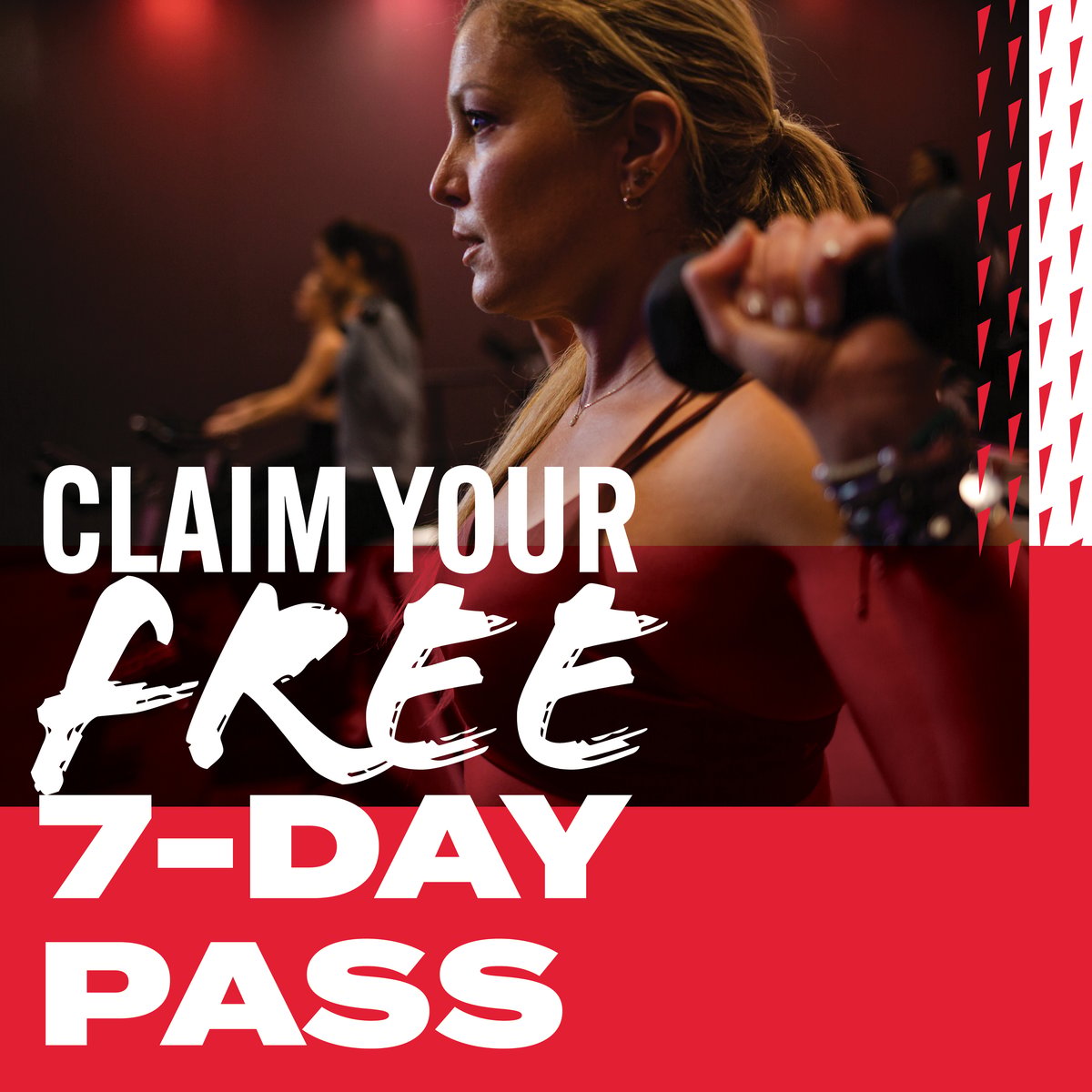 freepass_7-26_ProspectEmails