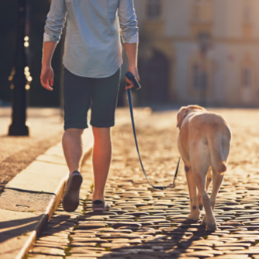 5 Quick Tips Regarding Your Daily Routine